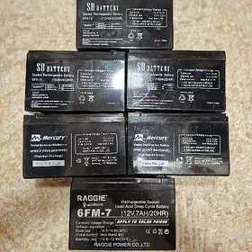 SB BATTERY|Mercury|RAGGIE 12V.