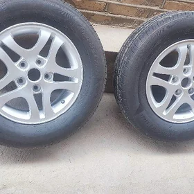 diska pakryska taze15 lik