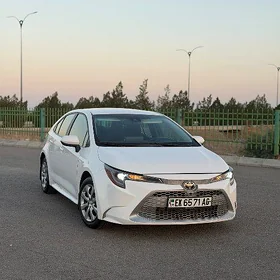 Toyota Corolla 2020