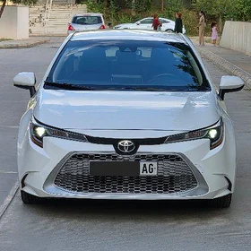 Toyota Corolla 2021