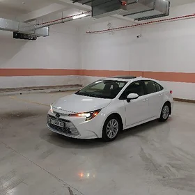 Toyota Corolla 2024