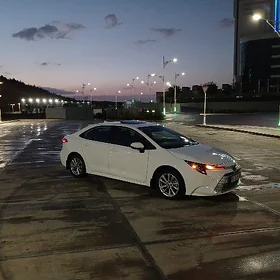 Toyota Corolla 2024