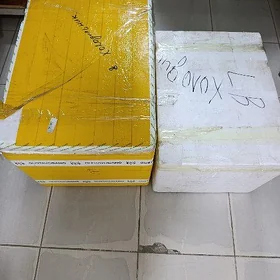 peneplast guty gysdagly