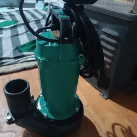 Gulbini nasos Şimga