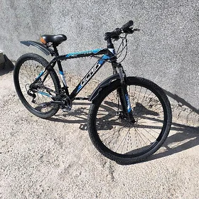 tigir sport 29
