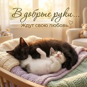 Котёнок
