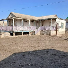 Ağaç jaý