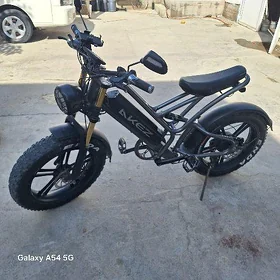 Tokly tigir