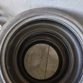 Teker 255x45x22 Lexus Rx 2025