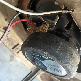 pioneer kalonka