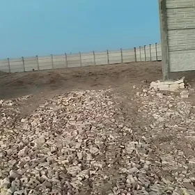 satlyk melek