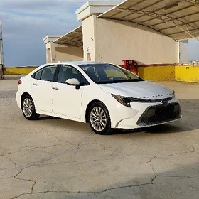 Toyota Corolla 2021