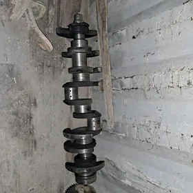 maz