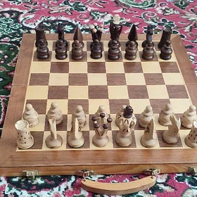 Шахматы