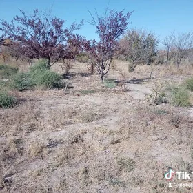 Boş mellek ýer
