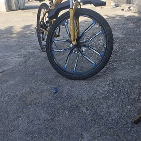 bmw tigir