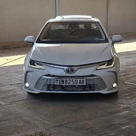 Toyota Corolla 2021