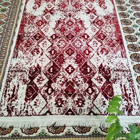 Taze.Turk Pokrywal