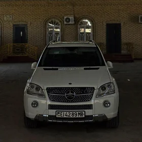 Mercedes-Benz ML350 2010