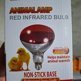 JUJE  GYZYL LAMPA