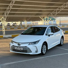 Toyota Corolla 2023
