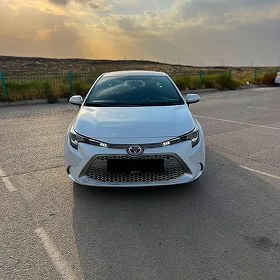 Toyota Corolla 2021