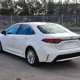 Toyota Corolla 2022
