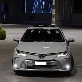 Toyota Corolla 2021