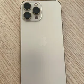 13 pro max