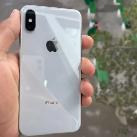 iPhone X