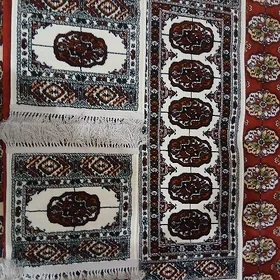 haly