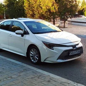 Toyota Corolla 2019