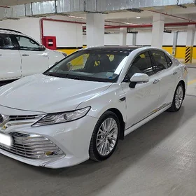 Toyota Camry 2019
