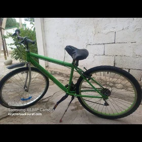 Turkmenistan
Tigir