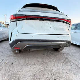Lexus rx bagaz багажник