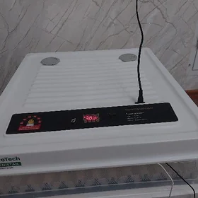 inkibator