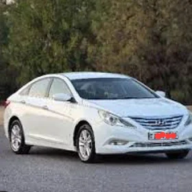 Hyundai Sonata 2011