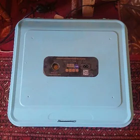 inkubator