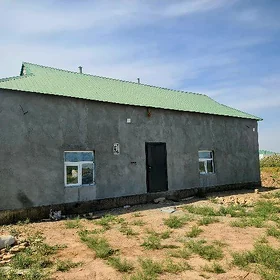 Satlyk jaý