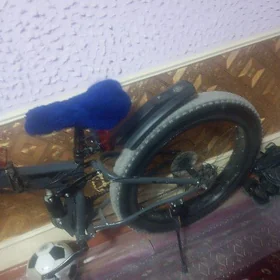 welasped