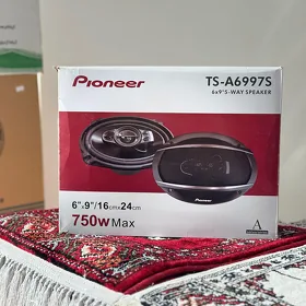 Pıoneer