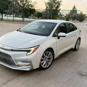 Toyota Corolla 2024