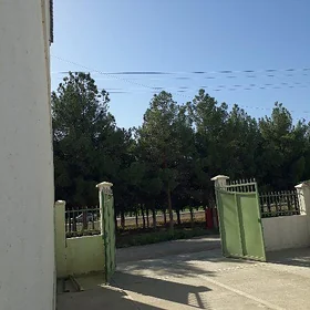 GÖKDEPE eñkewede kottež jaý.