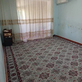 Buzmeyin haly