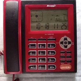 ДОМАШНИЙ ТЕЛЕФОН