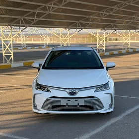 Toyota Corolla 2023