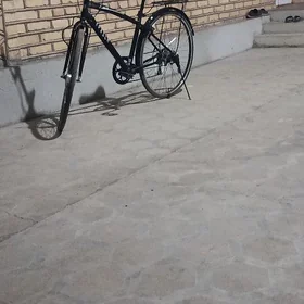 welisoped