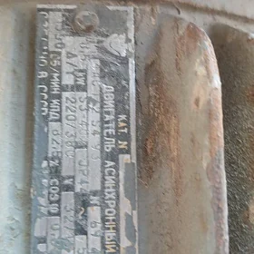 elektro diwitel