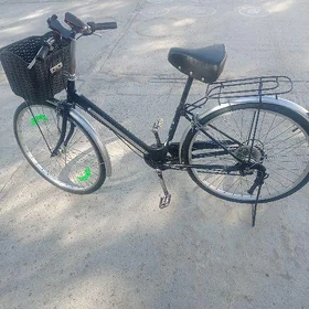 tigir 26lyk 6skor top dinama