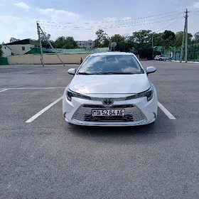 Toyota Corolla 2023